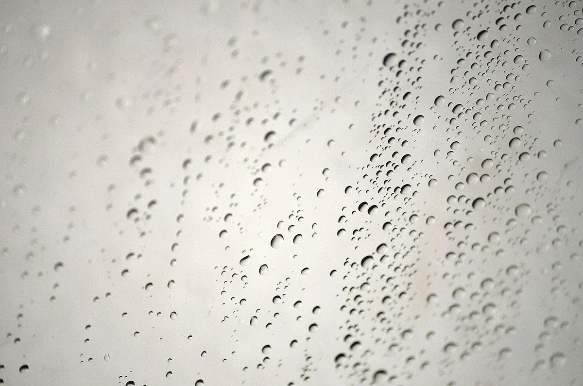 Les causes cachées : humidité et problèmes de plomberie