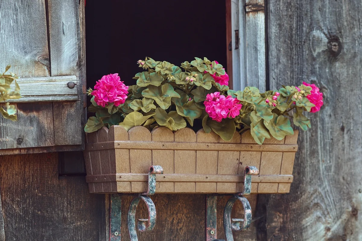 Idées de décoration et personnalisation