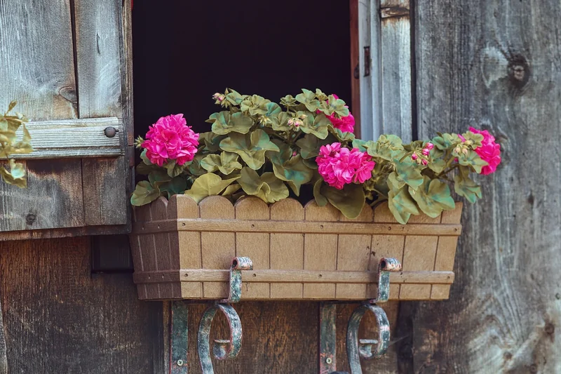 Idées de décoration et personnalisation