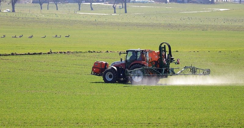 Roundup Ultra Plus : l'herbicide qui fait vraiment la différence
