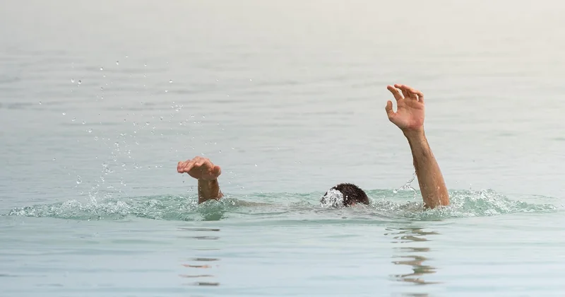 Est-il possible de faire une bouture de noyer dans l'eau ?