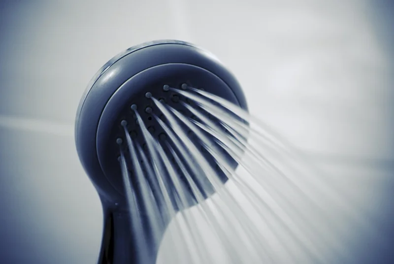 Comment se débarrasser des vers noirs : méthode étape par étape