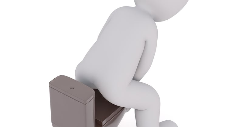 Vers dans les toilettes : causes, solutions et quand s'inquiéter