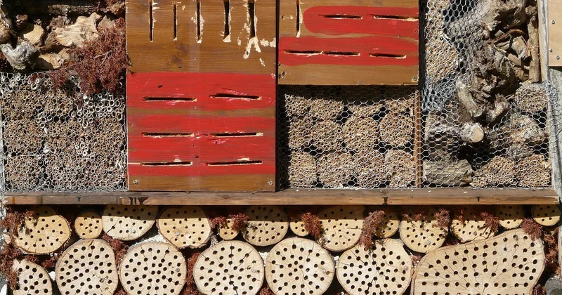 Le bois, la paille, la terre crue : comment choisir sans se tromper