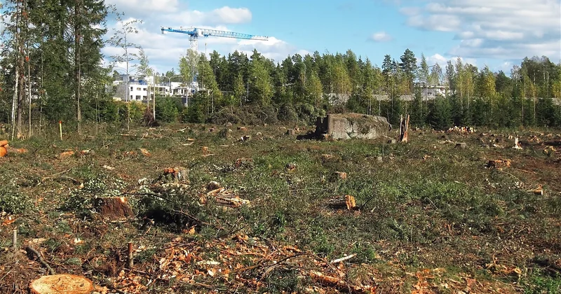 Materials écologiques : quelle logistique pour un chantier réaliste ?